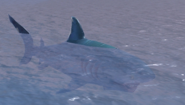 灰鲭鲨位置创造与魔法图片