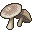 蘑菇阿尼玛.gif